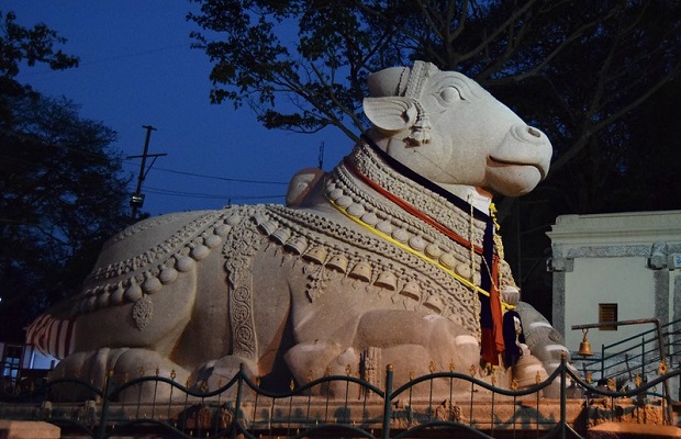 Nandi the devotee of Lord Shiva