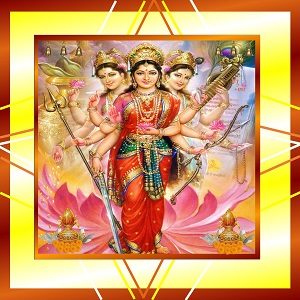 Sri Suktam Homam Lakshmi Puja