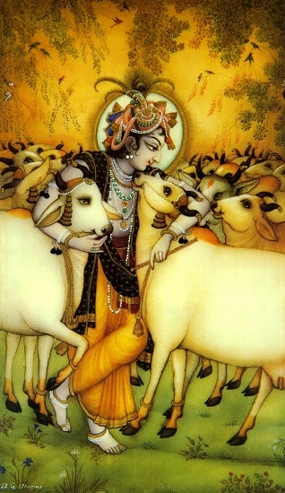 Krishna with cows